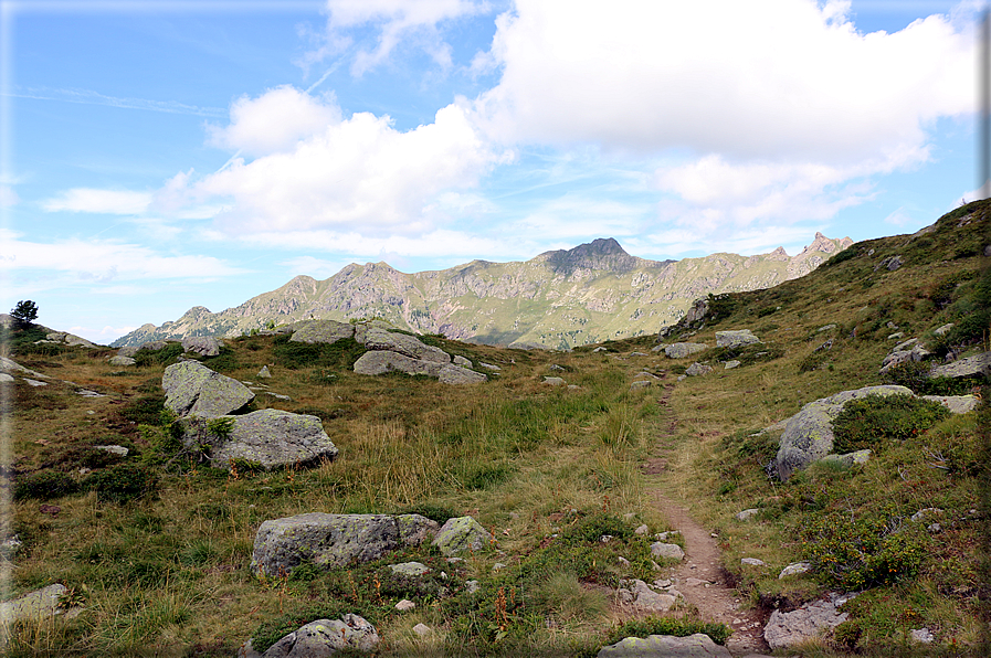 foto Forcella di Montalon